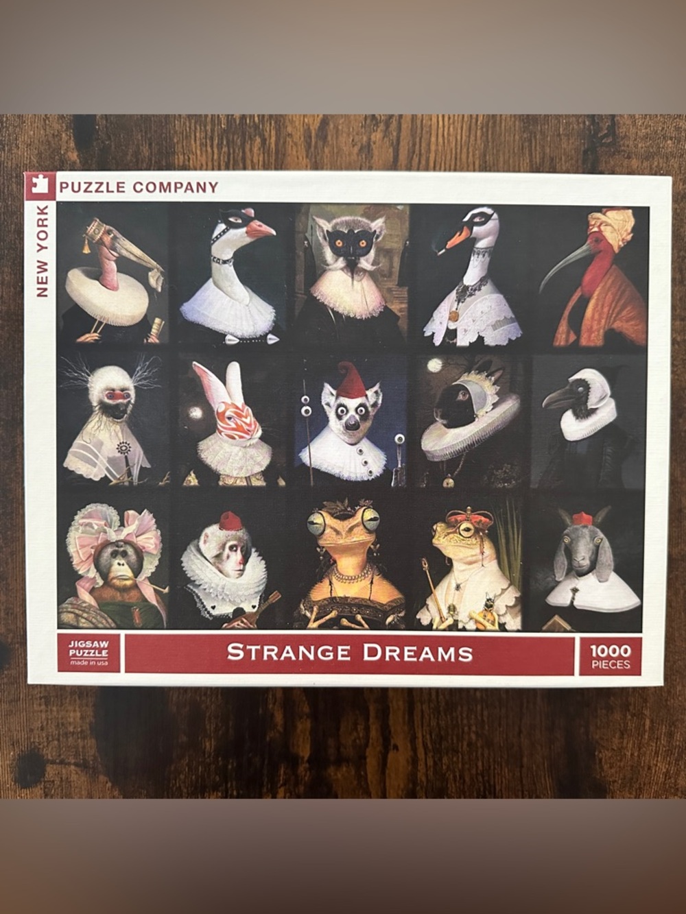 New York Puzzle Company, Strange Dreams, 1000 pieces